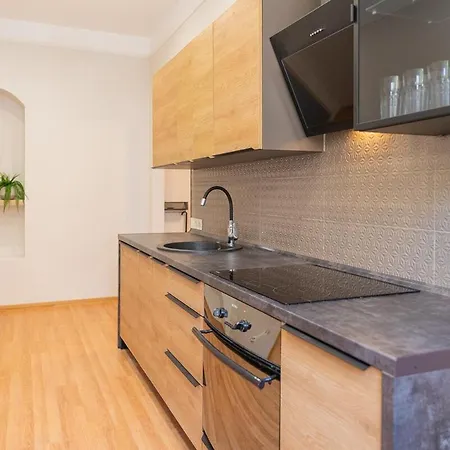 公寓 Modern 2br In Center Renovated In 2025 里加